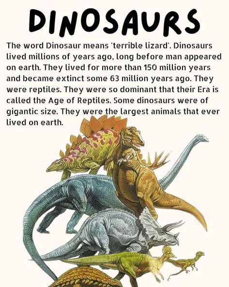 DINOSAURS 🦖 #dino #paleontology #wpf Cool Catch Phrases, Dinosaur Extinction, Dinosaur Unit Study, Dinosaur Information, Dinosaurs Extinction, Dinosaur History, Dinosaur Room Decor, Dinosaur Era, Dinosaur Room