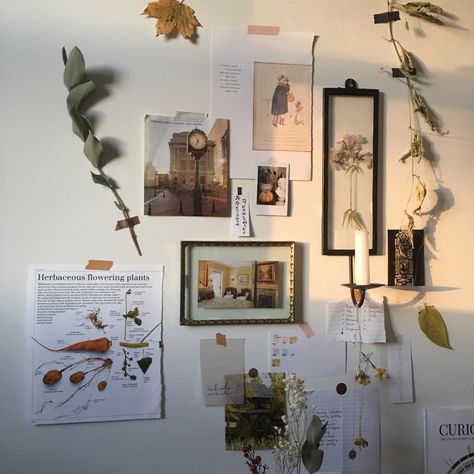 Cozy Wall Decor Bedroom, Autumn Wall Collage, Wall Collage Inspiration Living Room, Light Nature Aesthetic, Light Brown Room Aesthetic, Fall Wall Collage, Light Autumn Aesthetic, Warm Tones Aesthetic, Warm Tone Aesthetic