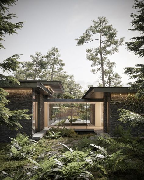 dezest envisions pine cove house as forest retreat to escape urban density Cove House, Revit Architecture, Design Exterior, Hus Inspiration, Forest House, Reinforced Concrete, Dream House Exterior, Modern House Exterior, House In The Woods