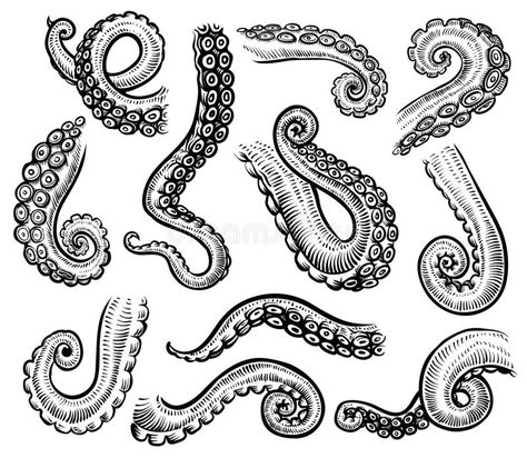 Tentacles of octopus, vector hand drawn collection of engraving illustrations. T #Sponsored , #Sponsored, #Sponsored, #octopus, #hand, #engraving, #vector Octopus Tentacles Drawing, Octopus Art Drawing, Tentacles Drawing, Octopus Vector, Tentacle Tattoo, Desenhos Old School, Tentacle Art, Octopus Drawing, Octopus Tattoo Design