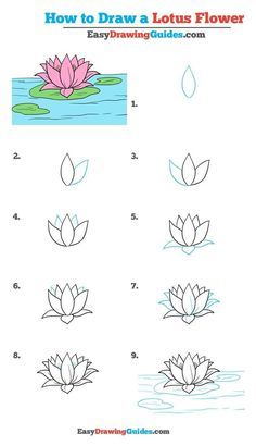 Draw A Lotus Flower, Flower Drawing Tutorial Step By Step, Water Lily Drawing, Trin For Trin Tegning, Lotus Flower Drawing, Lotus Drawing, Flower Drawing Images, Lilies Drawing, Easy Flower Drawings