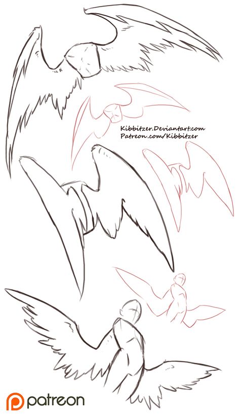 Wing reference Drawing Wing Reference, Wings On Back Reference, Scratches Down My Back, Wing Drawing Tips, Ghost Costume Drawing Reference, Flustered Reference Pose, Wing Body Poses Drawing, Back Turned Looking Over Shoulder, Wings Folded Reference