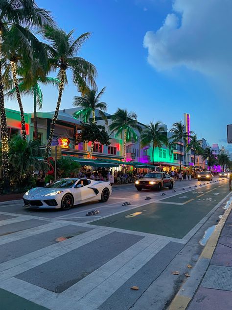 When visiting Florida, a lovely area to explore is Ocean Drive near Miami Beach. 
Tips: bring your own bike or rent one of the citybike to enjoy a good ride on that street. Miami Fl Aesthetic, Miami Asthetic Picture, Miami Florida Beach, Miami Photo Dump, Miami Travel Aesthetic, Travel Aesthetic Design, Rich Miami Aesthetic, Miami Vision Board, Miami Vacation Aesthetic