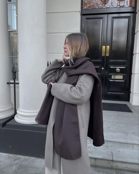 Brown Outfit Winter, Taupe Outfit, Winter Outfits Ideas, Outfit Chic, Soft Autumn, Brown Outfit, Outfit Winter, Soft Summer, Chic Outfit