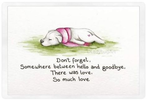 Pet Quotes Dog, Miss My Dog, Dog Poems, Dog Quotes Love, Pet Remembrance, Dog Died, 강아지 그림, Pet Sympathy, Dog Memorial