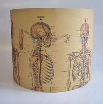 Handmade Vintage Skeleton Lampshade Antique Store Displays, Vintage Lampshades, Diy Lampshade, Lampe Diy, Steampunk House, Vintage Skeleton, Childrens Lighting, Lampshade Designs, Paper Lampshade