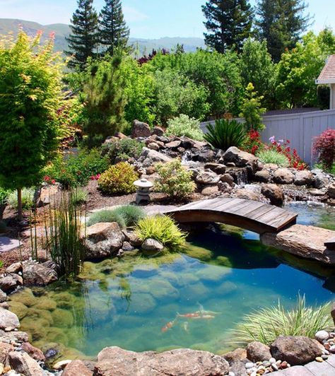 Natural Inspiration: Koi Pond Design Ideas For A Rich And Tranquil Home Landscape! Koi Pond Design, Kolam Air, Kolam Koi, Taman Air, Fish Pond Gardens, Small Japanese Garden, Asian Landscape, Beautiful Home Gardens, Pond Water Features