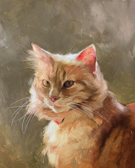 Orange Tabby Cat Painting, Jennifer Gennari, Cat Resting, Pet Portraiture, Cat Portrait Painting, Dog Portraits Art, Kitten Drawing, Sun Painting, Oil Painting Inspiration