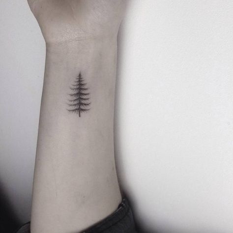 Hand poked small pine tree tattoo on the left inner wrist. Done by Lara M. J. Tree Tattoos, Loon Tattoo Small, Tiny Tree Tattoo, Small Tattoos Men, Berg Tattoo, Simple Tree Tattoo, Pine Tattoo, Tattoo Tree, Tree Tattoo Small