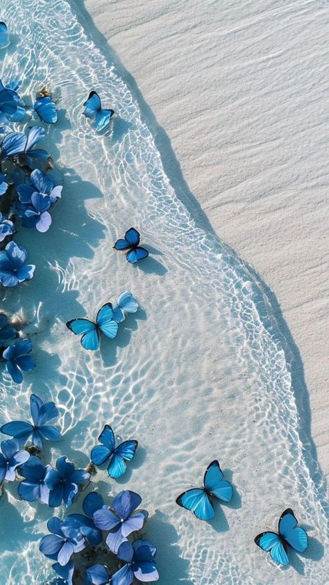 Blue theme wallpaper-butterfly Sparkly Iphone Wallpaper, Cute Summer Wallpapers, Cute Blue Wallpaper, Pretty Phone Wallpaper, Simple Phone Wallpapers, Butterfly Wallpaper Iphone, Cute Flower Wallpapers, Tapeta Pro Iphone, Spring Wallpaper