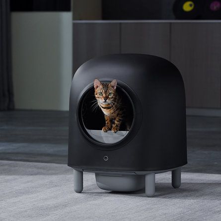 Cat Litter Box Diy, Hiding Cat Litter Box, Diy Litter Box, Automatic Cat Litter, Automatic Litter Box, Cleaning Litter Box, Cat Litter Box Enclosure, Litter Box Enclosure, Cat Body