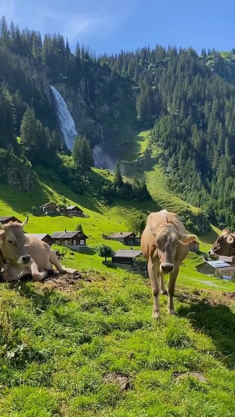 Beautiful Place In The World, Swiss Mountains, Switzerland Travel, Places In The World, Dream Travel Destinations, Swiss Alps, Future Travel, Beautiful Places In The World, Beautiful Places To Travel