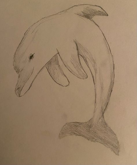 Animals In The Ocean Drawing, Cute Sea Horse Drawing, Sea Animals Drawing Cute, Things To Draw Turtle, Sea Animals Aesthetic Drawing, Fish Drawings Realistic, Summer Pencil Drawings, Sea Creatures Drawing Realistic, Sea Creatures To Draw