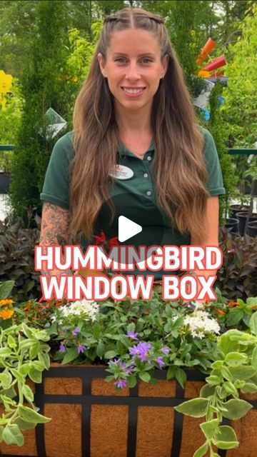 Outdoor Flower Box Ideas, Flower Garden Boxes Ideas, Hummingbird Planter Ideas, Hummingbird Container Garden, Hummingbird Flowers Garden, Window Boxes Flowers, Flowers For Hummingbirds, Hummingbird Food Recipe, Outdoor Flower Boxes