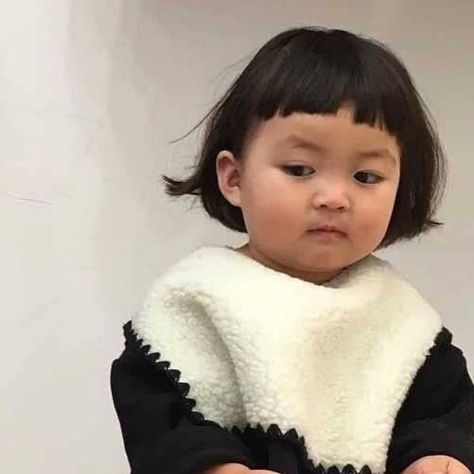 Rohee on Instagram: “😍😍” Korean Baby Girl Memes Funny, Jinmiran Mood, Funny Baby Faces, Chinese Babies, Baby Icon, Cute Babies Photography, Kids Mood