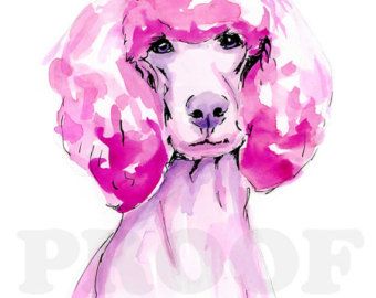 Pink Poodle Watercolor Print Wall Painting Outdoor, Poodle Watercolor, Poodle Painting, Poodle Drawing, Wall Art Outdoor, Poodle Cuts, Tea Cup Poodle, Puppy Cut, Havanese Dogs