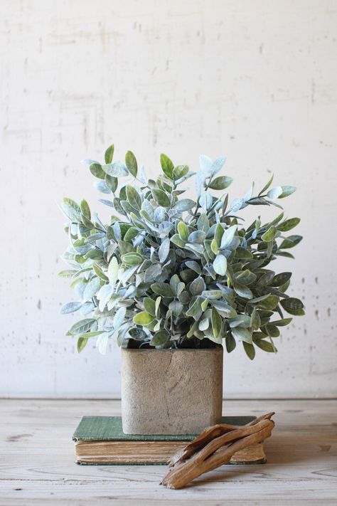 artificial sage bush in a square pot Sage Bush, Urban Farmhouse Designs, Sage Plant, Decor Paintings, Bush Plant, Makeup Room Decor, Plant Vase, Plant Aesthetic, Paintings Prints