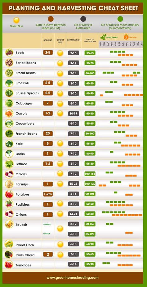 Garden Types, Grow Chart, Plantarea Legumelor, Jardim Diy, Veg Garden, Have Inspiration, Compressed Air, Home Vegetable Garden, Food Garden