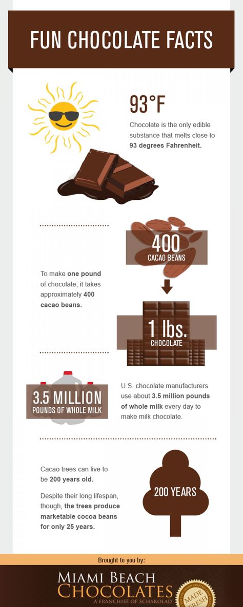 Fun Chocolate Facts Infographic Chocolate Art, Chocolate Facts, Fair Trade Chocolate, Chocolate Work, Cacao Chocolate, Chocolate Coins, Cacao Beans, Chocolate Drinks, Chocolate Factory