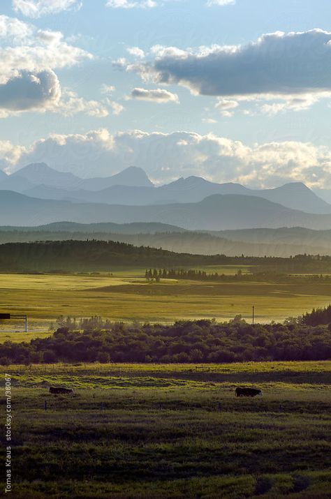 Near Calgary, Alberta http://www.arcreactions.com/services/videography/ Alberta Landscape Paintings, Alberta Landscape, Vertical Landscape, Future Photos, Western Canada, Lake George, Take Better Photos, Image Fun, Calgary Alberta