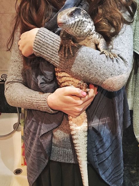 This Lizard Proves That Reptiles Can Be Cute Pets Too Iguanas, Rikki H2o, Savannah Monitor, Pet Lizards, Cute Lizard, Reptile Room, Monitor Lizard, Cute Reptiles, Reptile Snakes