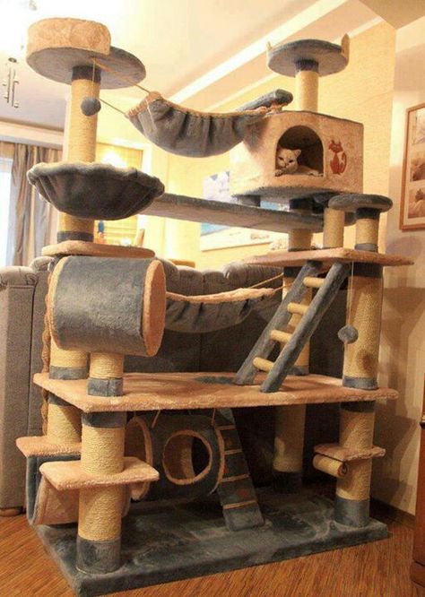 Cat condo Katt Hus, Katt Diy, Cat Tree Plans, Katt Grejer, Cool Cat Trees, Söt Katt, Diy Cat Tree, Cat Towers, Pet Tips