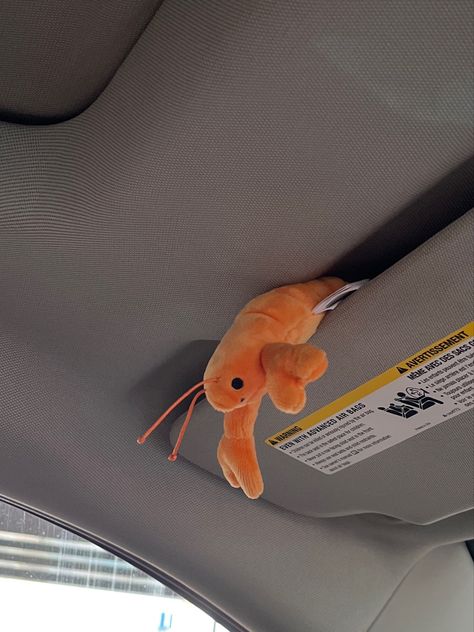 Car Stuffed Animals, Jellycat Aesthetic, Adorable Stuffed Animals, Jelly Cats, Jelly Cat, Jellycat Stuffed Animals, Car Deco, Savate, Cute Stuffed Animals