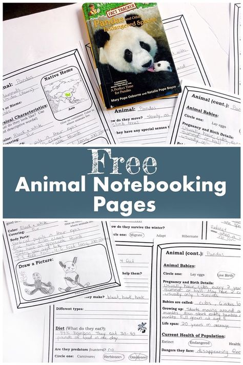 Homeschool Animal Report, Free Notebooking Pages, Mammal Unit Study, Animal Unit Study, Notebooking Homeschool, Homeschool Notebooking, Magic Tree House Books, Animal Report, Notebooking Pages