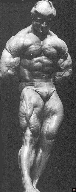 http://www.fitnessgeared.com/forum/forum/ Tom Platz Legs Muscle, Gain Weight For Women, Tom Platz, 남성 근육, Old Bodybuilder, Aesthetics Bodybuilding, Frank Zane, Alluka Zoldyck, Bodybuilding Pictures