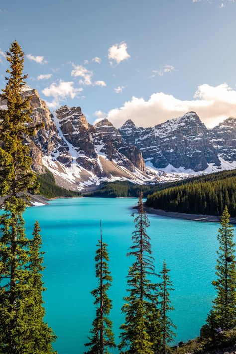 20 Helpful Moraine Lake Tips to Know Before Visiting Moraine Lake Canada, Places In Usa, Adventure Travel Explore, Parks Canada, Moraine Lake, Visit Canada, Places In The World, Banff National Park, Most Beautiful Cities