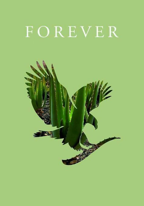 Forever Living Company, Aloe Benefits, Kundalini Yoga Poses, Forever Freedom, Forever Living Business, Forever Living Aloe Vera, Tooth Gel, 7 Rules Of Life, Better Lifestyle