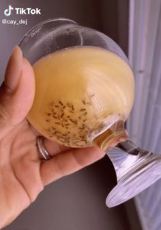 Home Remedy To Get Rid Of Nats, How Do You Get Rid Of Gnats In The House, Diy To Get Rid Of Fruit Flies, Keep Gnats Out Of House, How To Catch And Kill Nats, How To Get Ride Of Nats In The House, How To Attract And Kill Nats, Diy Get Rid Of Gnats, How To Get Rid Of Gnats In Sink Drain