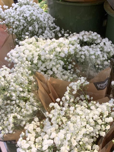 Spring White Aesthetic, Nature, Clean Flowers Aesthetic, White Small Flowers Aesthetic, White Heather Flower, White Flower Types, White Flowers Field, White Aesthetic Flowers, Clean Girl Aesthetic Wallpaper