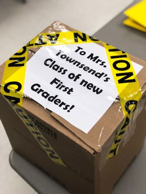 First Day Of Grade 1 Activities, Organisation, First Day Of Year 1, Picture Day Perfection Book Activities, Elementary First Day Of School Activities, Back To School Classroom Activities, 1st Grade 1st Day Of School, Woof Of The Week Classroom, First Day Classroom Activities