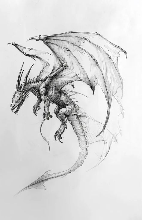 The image is a pencil drawing of a dragon. The dragon is depicted as a large, winged creature with a long, serpentine body and a head that resembles that of a crocodile ->> more details in ai-img-gen.com Dragon Drawing Flying, Drawing Of A Dragon, Dragon Head Drawing, Flying Dragon, Potion Bottles, Dragon Illustration, Dragon Wings, Dragon Head, Anime Dragon