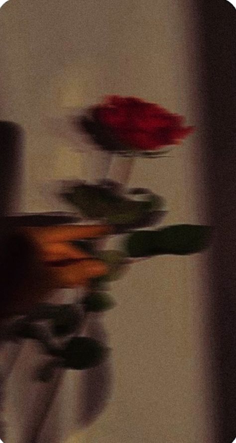 blurr Aesthetic Red Flowers Wallpaper, Blurry Rose Aesthetic, Blurry Photo Ideas, Cute Blurry Wallpapers, Red Roses Aesthetic Wallpaper Iphone, Rose Asthetics Photos, Rose Asthetics Wallpaper, Aesthetic Wallpaper Iphone Flowers, Red Rose Wallpaper Iphone