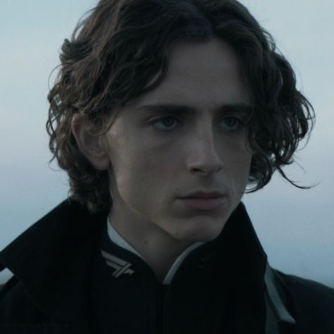 regulus black timothée chalamet icon unfiltered Regulus Acturus Black, Percy Jackson Fanfic, Walburga Black, Dune Art, Paul Atreides, Tv Icon, Regulus Black, Timmy T, Haircut Inspiration