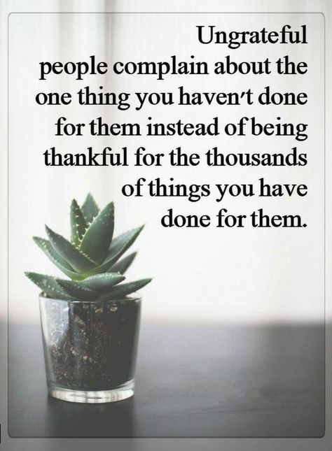 Quotes Ungrateful people complain about the one thing you haven't done for them instead of being thankful for the thousands of things you have done for them. Yasmine Aker, Jack Kesy, Thad Luckinbill, Negative People Quotes, Ungrateful People, Funny People Quotes, Being Grateful, Inspirerende Ord, Inspirational Quotes With Images