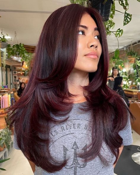 Long Dark Burgundy Butterfly Cut Burgundy Hair Colors, Burgundy Hair With Highlights, Deep Burgundy Hair, Dark Burgundy Hair, Black Cherry Hair, Burgundy Red Hair, Burgundy Hair Dye, Layers Long, Wine Hair Color