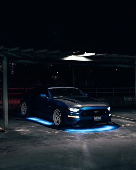 Lights down low 🌌 Owner on IG: @lamberttran Photo on IG: @alexturnbull_ #underglow #mustang #steeda #speedmatters #nightlife Underglow Car, 2005 Mustang Gt, Lights Down Low, 2005 Mustang, Black Mustang, Blue Lighting, Car Wallpaper, Night Driving, Mustang Gt