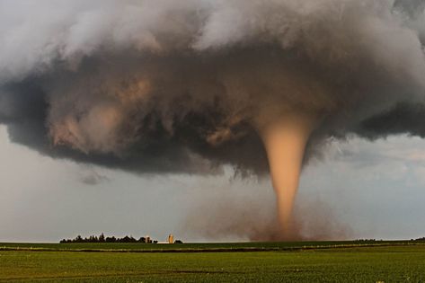 Storm Photography, Real Tornado Pictures, Tornado Photography, Tornado Pictures, Supercell Thunderstorm, Storm Pictures, Tornado Alley, Storm Chasing, Wild Weather