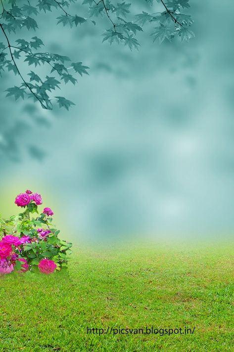 Studio Backgrounds PSD - Wallpaper Cave Marriage Background, Framed Flowers, Photoshop Wallpapers, Photoshop Backgrounds Backdrops, Wallpapers Ipad, फोटोग्राफी 101, Desktop Background Pictures, Photoshop Digital Background, Photoshop Backgrounds Free