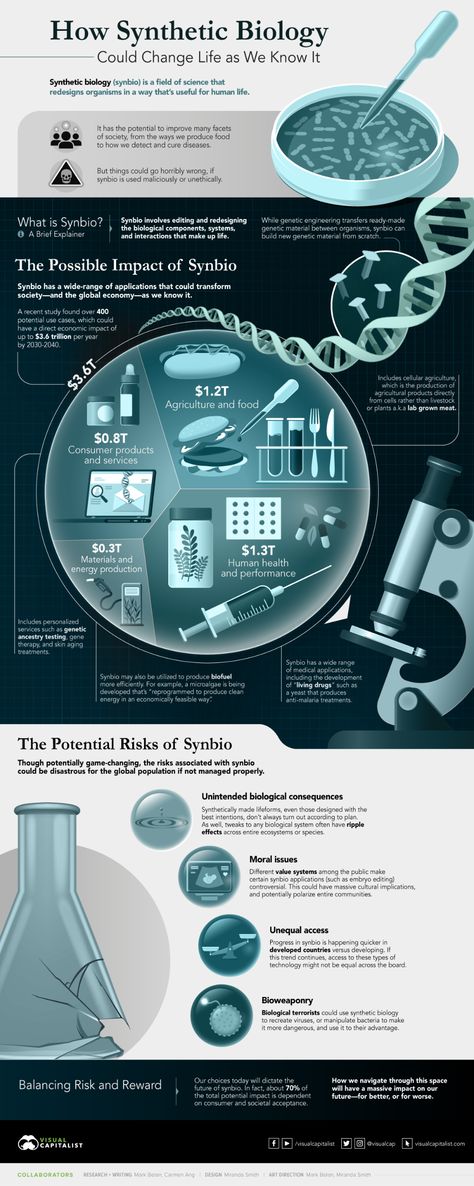 Synthetic Biology: The $3.6 Trillion Science Changing Life as We Know It Science Infographics Biology, Synthetic Biology Art, Infographic Biology, Science Infographic Design, Molecular Biology Art, Biology Infographic, Assignment Design, Scientific Posters, Scientific Poster Design