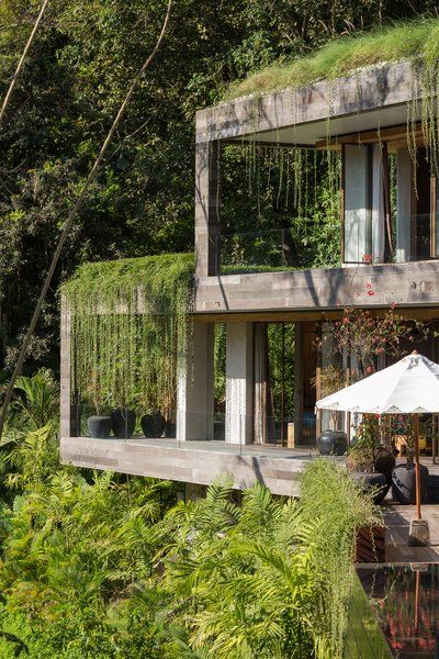 An Incredible Vacation Villa in the Balinese Jungle That’s Part Chameleon - Photo 2 of 17 - Sustainable Architecture, Bangunan Minecraft, Jungle House, Earth Sheltered, Bali Villa, Green Architecture, Concrete House, Word Of Mouth, Brutalism