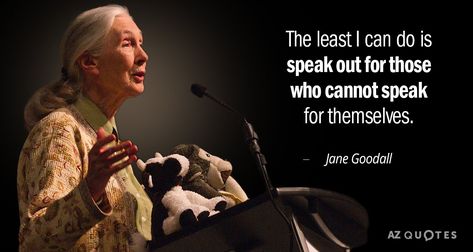 Jane Goodall quote: The least I can do is speak out for those... Jane Goodall Quote, Jane Goodall Quotes, Whiteboard Quotes, Rare Quotes, Dian Fossey, Rare Quote, Rachel Carson, Jane Goodall, 25th Quotes