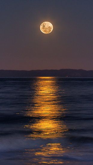 ~~Reflections of a Perigee Moon ~ Super Moon, Burpengary, Australia by Steve Bass~~ Australia Holiday, Shoot The Moon, Moon Photos, Moon Pictures, Moon Photography, Super Moon, Moon Lovers, Beautiful Moon, صور مضحكة