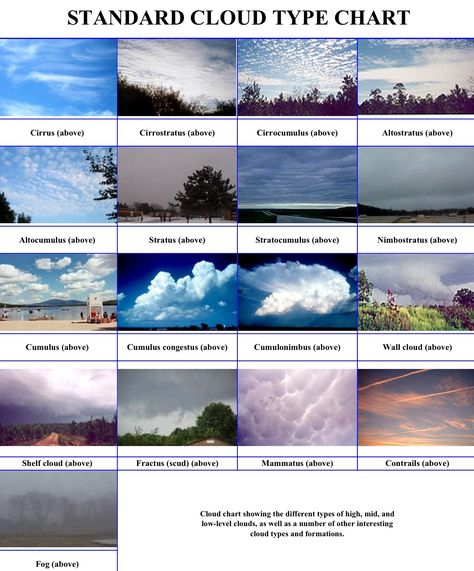 cloud types... I believe the are forgetting the new Asperatus Clouds! Meteorology, Clouds Types, Clouds Worksheet, Types Of Clouds, Type Chart, Cloud Type, Weather Science, Weather Cloud, Weather And Climate