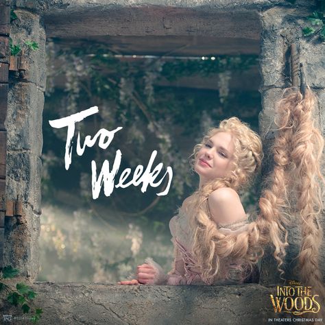 "High in her tower, she sits by the hour." Into The Woods - in theaters Christmas Day! Mackenzie Mauzy, Into The Woods Musical, Into The Woods Movie, Stephen Sondheim, Crazy Fans, Historical Books, Theatre Nerds, The Princess And The Frog, Theatre Poster