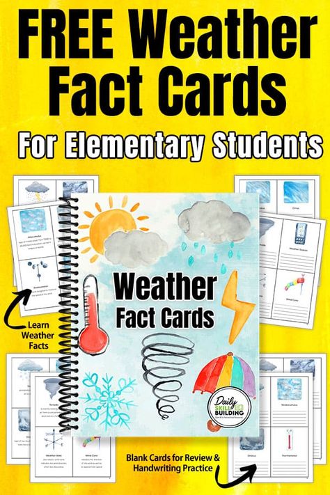 Weather Elementary, Weather Science Activities, Weather Unit Study, Weather For Kids, Vocab Activities, Weather Song, Weather Vocabulary, Weather Cards, Weather Words