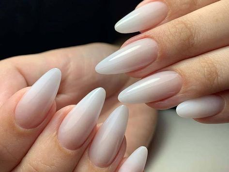 Nails 2023 Trends Powder, White Nails Transparent, Milky Ombré Nails, White Frost Nails, Almond Nails Milky White Design, Gradient White Nails, Milk Glass Nails, Milky White Ombre Nails Almond, Ombre Milky White Nails